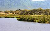TANZANIA - Ngorongoro Crater - 45